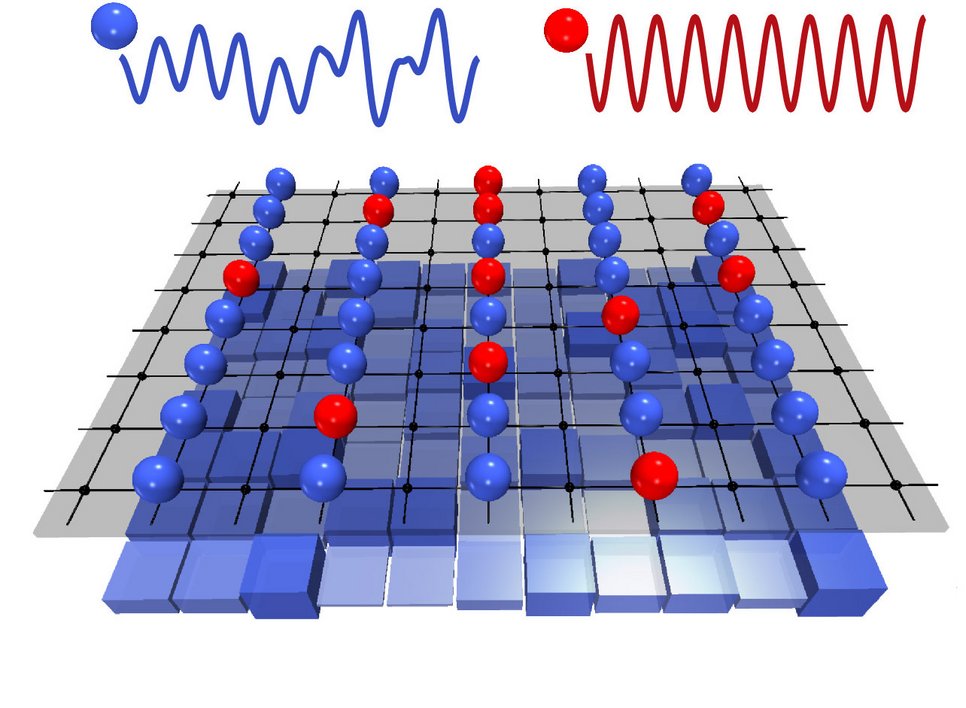 Two component spin mixture of interacting atoms. The blue component experiences the light induced disorder potential, whereas the red component does not see the disorder potential. Both components, however, are in collisional contact.