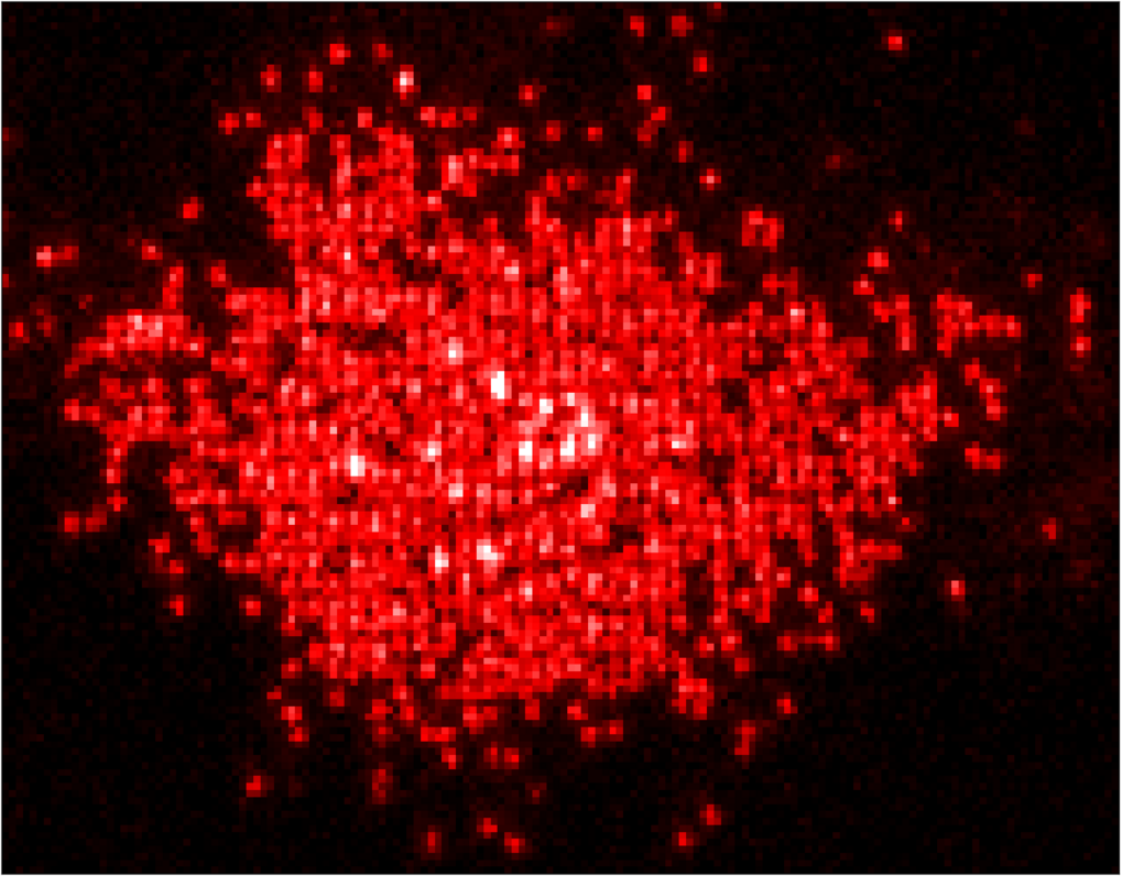 Lithium Quantum Gas Microscope Quantum Optics Group