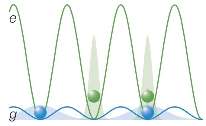 A state-dependent lattice localizes one state (green) of the atom to one site, wheres other atoms are mobile.