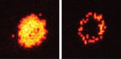Single-atom resolved image of Rydberg-dressed atomic cloud. The optically admixed long-range interactions cause the appearance of a ring-like structure after some time. For more details, see Nature Phys 12, 1095–1099 (2016).