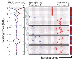 The image shows dynamics in a long-range interacting spin chain after a quantum quench. As a consequence of the interactions, the chain shows characteristic beating, with revivals signalling the long achieved coherence times. Figure adapted from Phys. Rev. X 7, 041063 (2017)