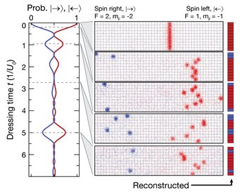 The image shows dynamics in a long-range interacting spin chain after a quantum quench. As a consequence of the interactions, the chain shows characteristic beating, with revivals signalling the long achieved coherence times. Figure adapted from Phys. Rev. X 7, 041063 (2017) The image shows dynamics in a long-range interacting spin chain after a quantum quench. As a consequence of the interactions, the chain shows characteristic beating, with revivals signalling the long achieved coherence times. Figure adapted from Phys. Rev. X 7, 041063 (2017)