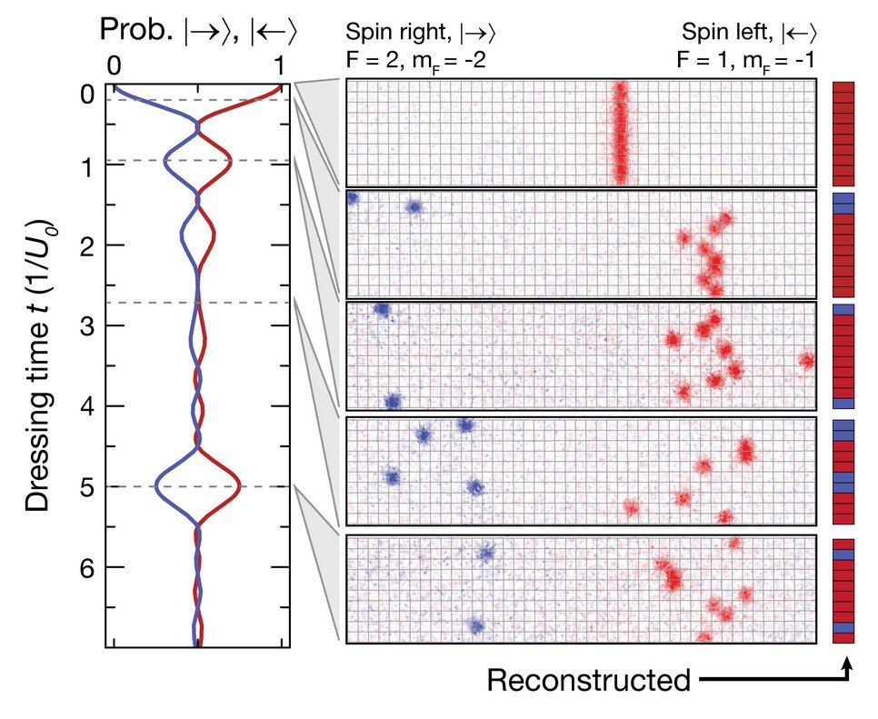 The image shows dynamics in a long-range interacting spin chain after a quantum quench. As a consequence of the interactions, the chain shows characteristic beating, with revivals signalling the long achieved coherence times. Figure adapted from Phys. Rev. X 7, 041063 (2017)