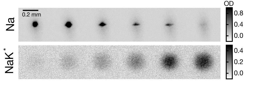 Transition from a mixutre of 23Na atoms (upper row) and 40K atoms to a degenerate Fermi gas of 23Na40K Feshbach molecules (lower row) .