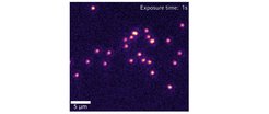 Single caesium atoms in a 767nm pinning lattice.