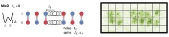 Pairs of holes can bind due to the magnetic ordering of spin-1/2 particles in a ladder. Pairs of holes can bind due to the magnetic ordering of spin-1/2 particles in a ladder.