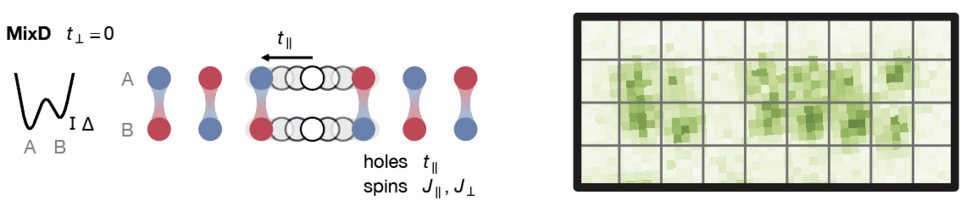 Pairs of holes can bind due to the magnetic ordering of spin-1/2 particles in a ladder.
