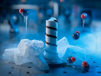 Christoph Hohmann / MCQST cluster