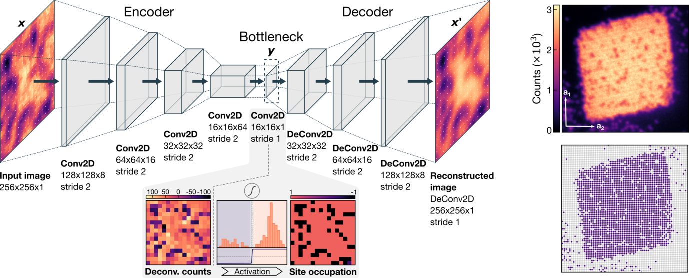 (left) Architecture of the neural network. (right) example reconstruction of a Mott insulator with ~ 2500 atoms.