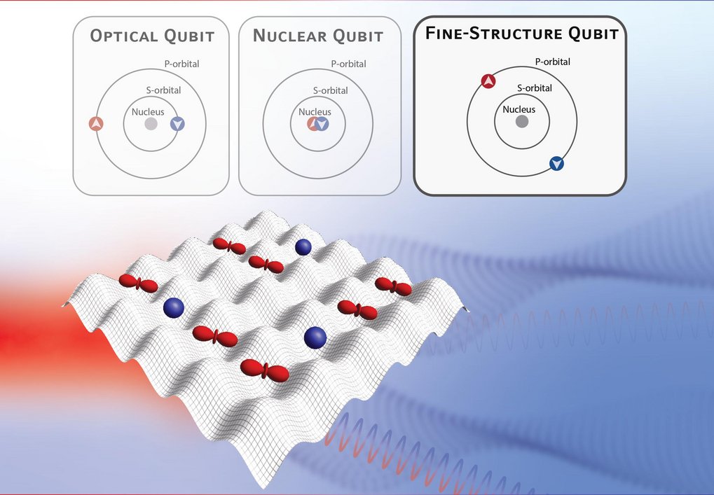 Fine-Structure Qubit Encoded in Metastable Strontium Trapped in an Optical Lattice