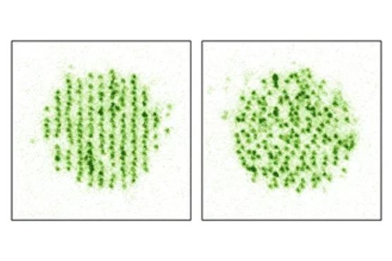 Superlattices under the microscope